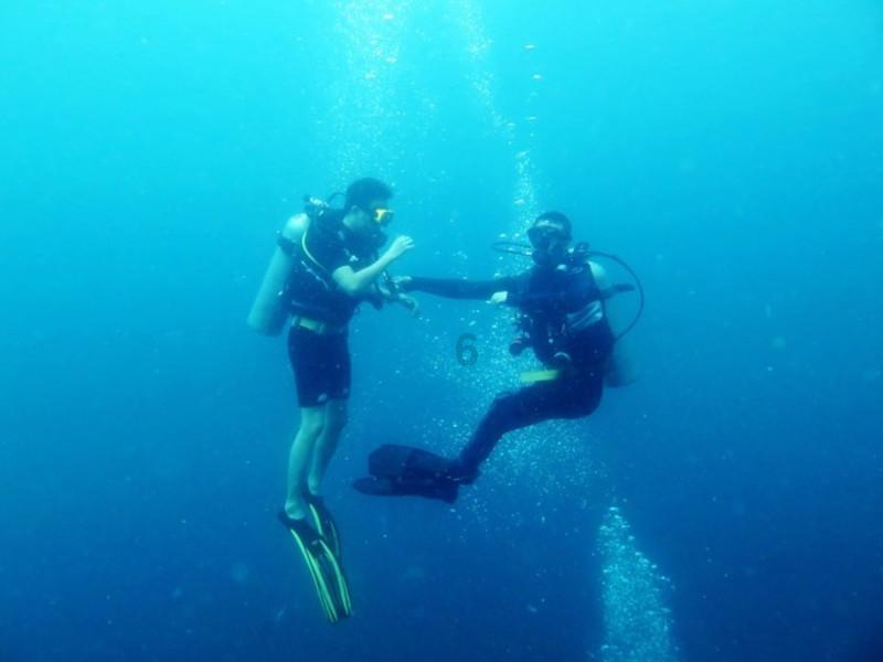 《逆水寒》天极闲趣集活动玩法介绍